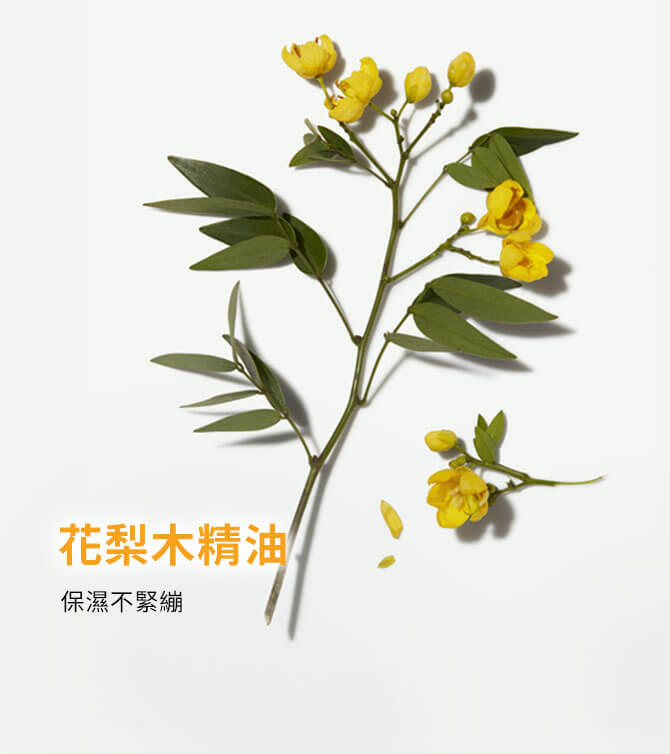 花梨木精油