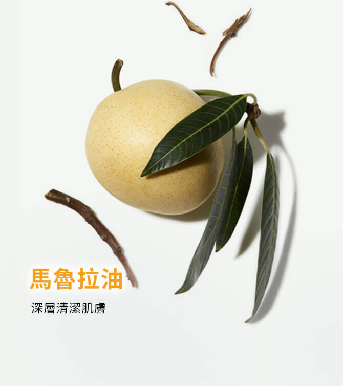 馬魯拉油