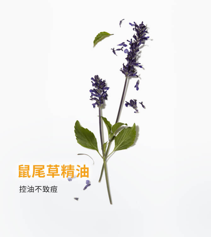 鼠尾草精油